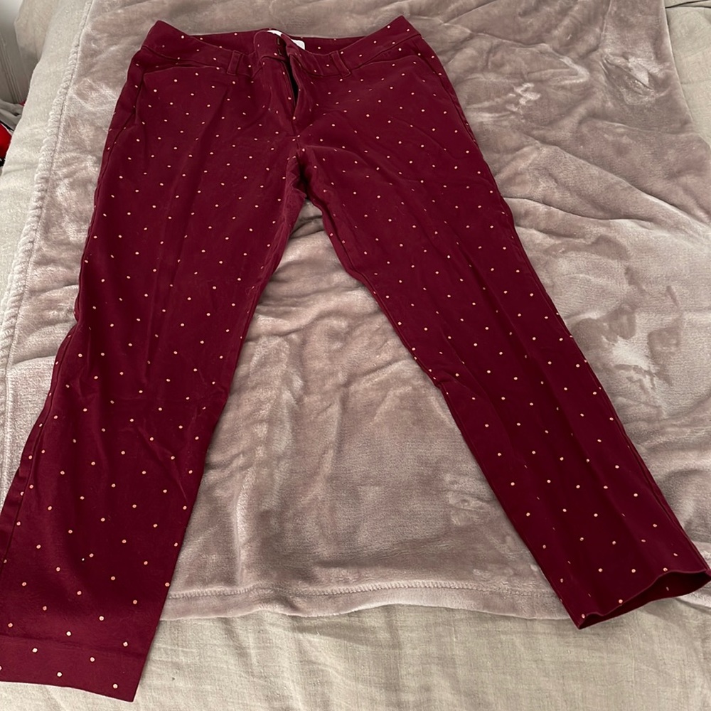 Maroon and Rose Gold Dotted Pixie Pant